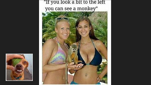 Memes That Will 99.821% Make You Laugh. (e46)