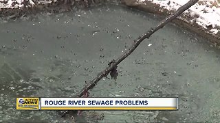 Millions of gallons of sewage dumped into Rouge River