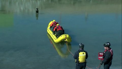 Dog rescued from icy east Tulsa pond