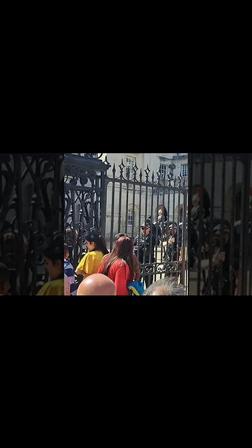 Make way tourist laugh #horseguardsparade