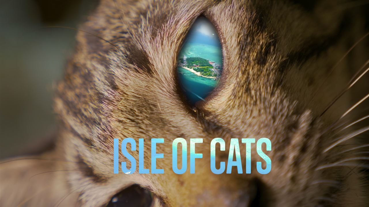 Isle of cats