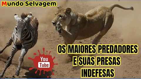 🐆 Os maiores predadores selvagens e suas presas indefesas, Confira 🐆