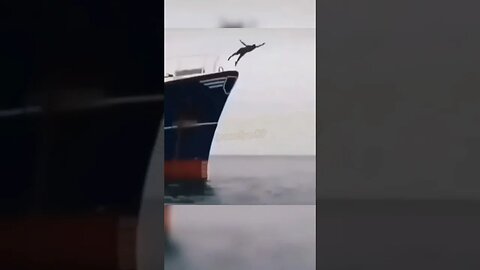 Unbelievable Encounter Man Gets Swallowed by Hungry Fish world's trend#shorts #viral #trend