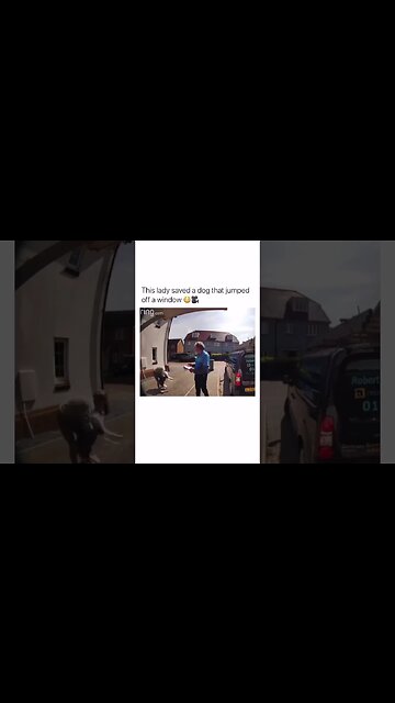 W catch, W dog owner 😁😁😁 #shorts #viral #shortvideo #subscribe #reels #viralreels #dog dogs