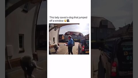 W catch, W dog owner 😁😁😁 #shorts #viral #shortvideo #subscribe #reels #viralreels #dog dogs