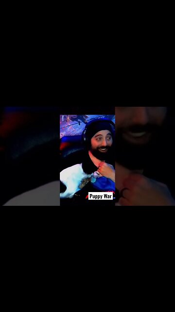 Puppy War #puppies #dogshorts