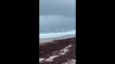 Beachgoers enjoying the weather prior to the arrival of Isaias