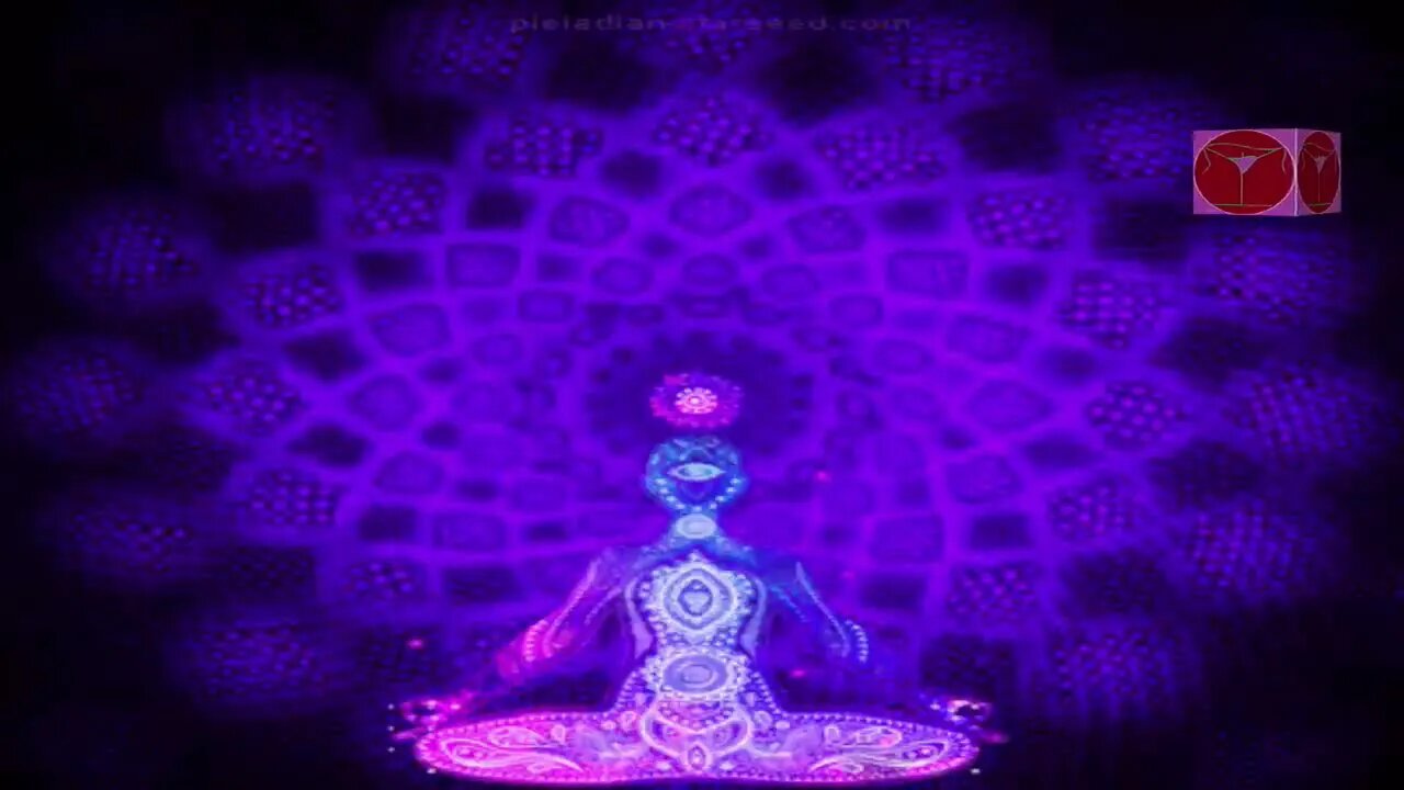 Wealth Health Affirmation Series (Prosperity Affirmations)