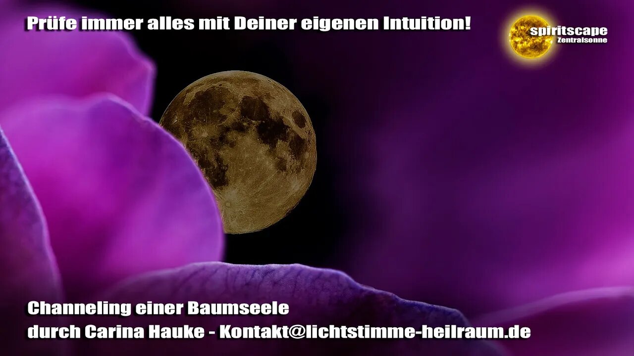 Channeling einer Baumseele - durch Carina Hauke