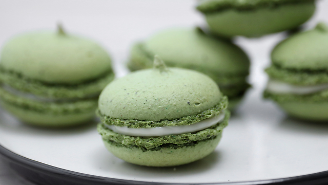 Matcha Macarons
