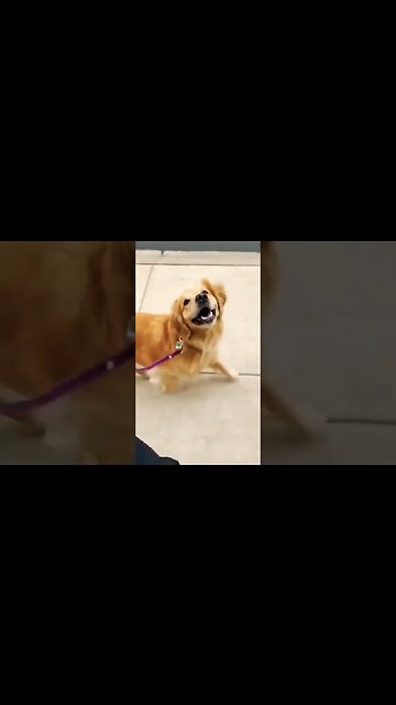 When you are his whole world 😍❤️ #viral #foryou #xyzbca #beautifulday