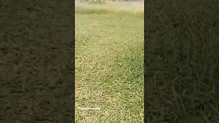 Subindo o monte