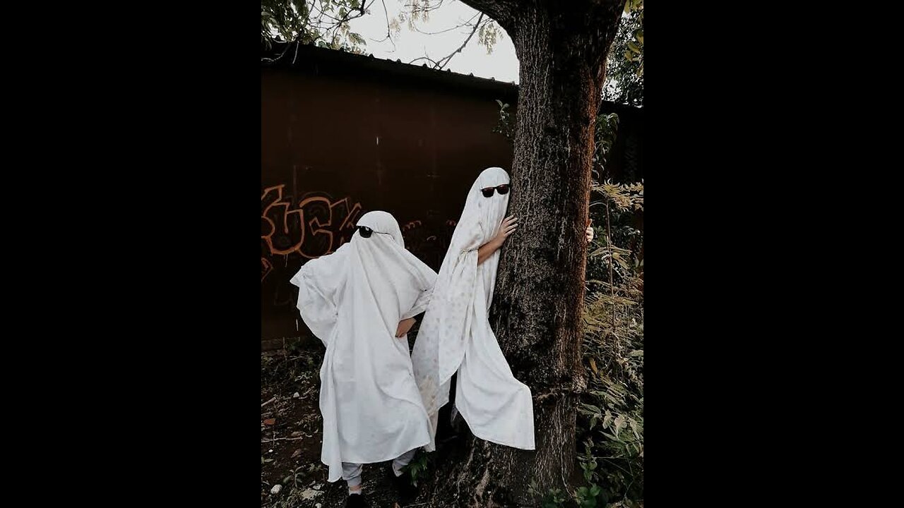 Ghost VS Animal 👻👊