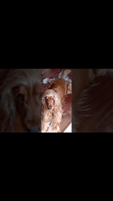 #universe , #space , shorts