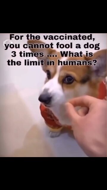 How many times have you been fooled