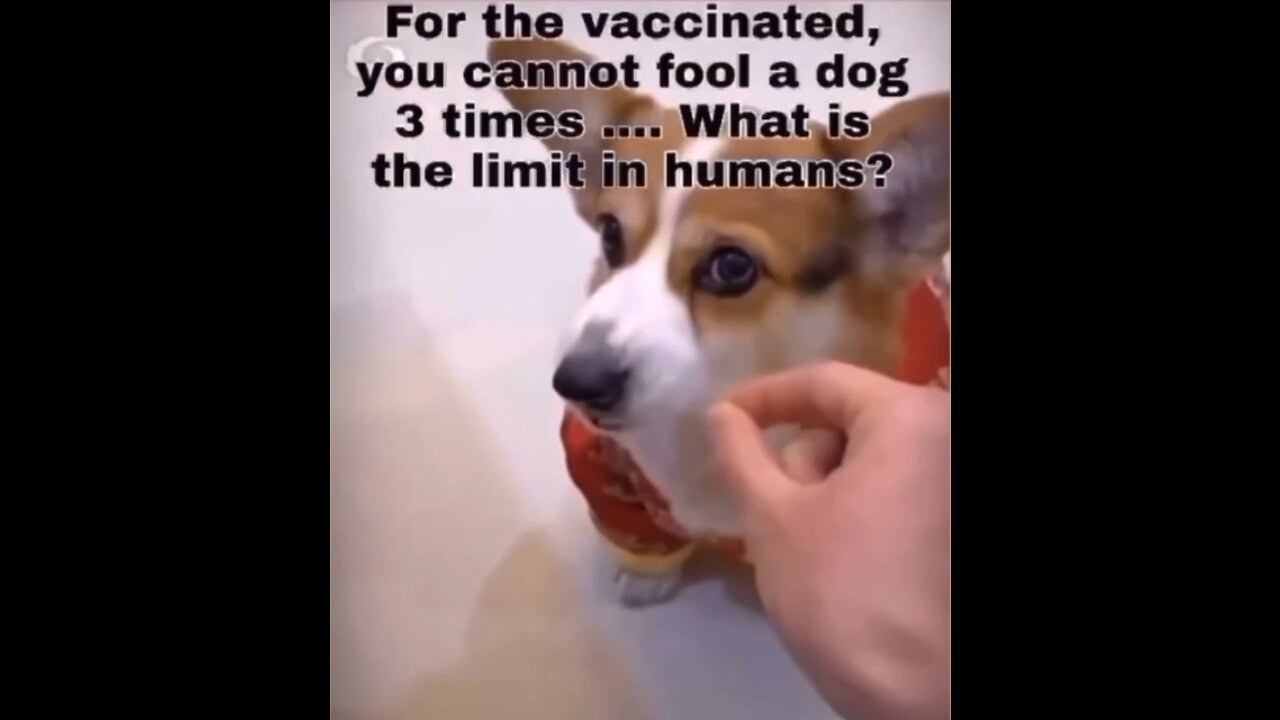 How many times have you been fooled