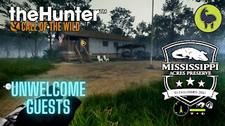 The Hunter: Call of the Wild, Unwelcome Guests, Mississippi Acres (PS5 4K)