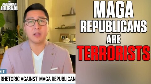 WATCH: MSNBC Pundit Calls Republicans A “Domestic Terrorist Cell”