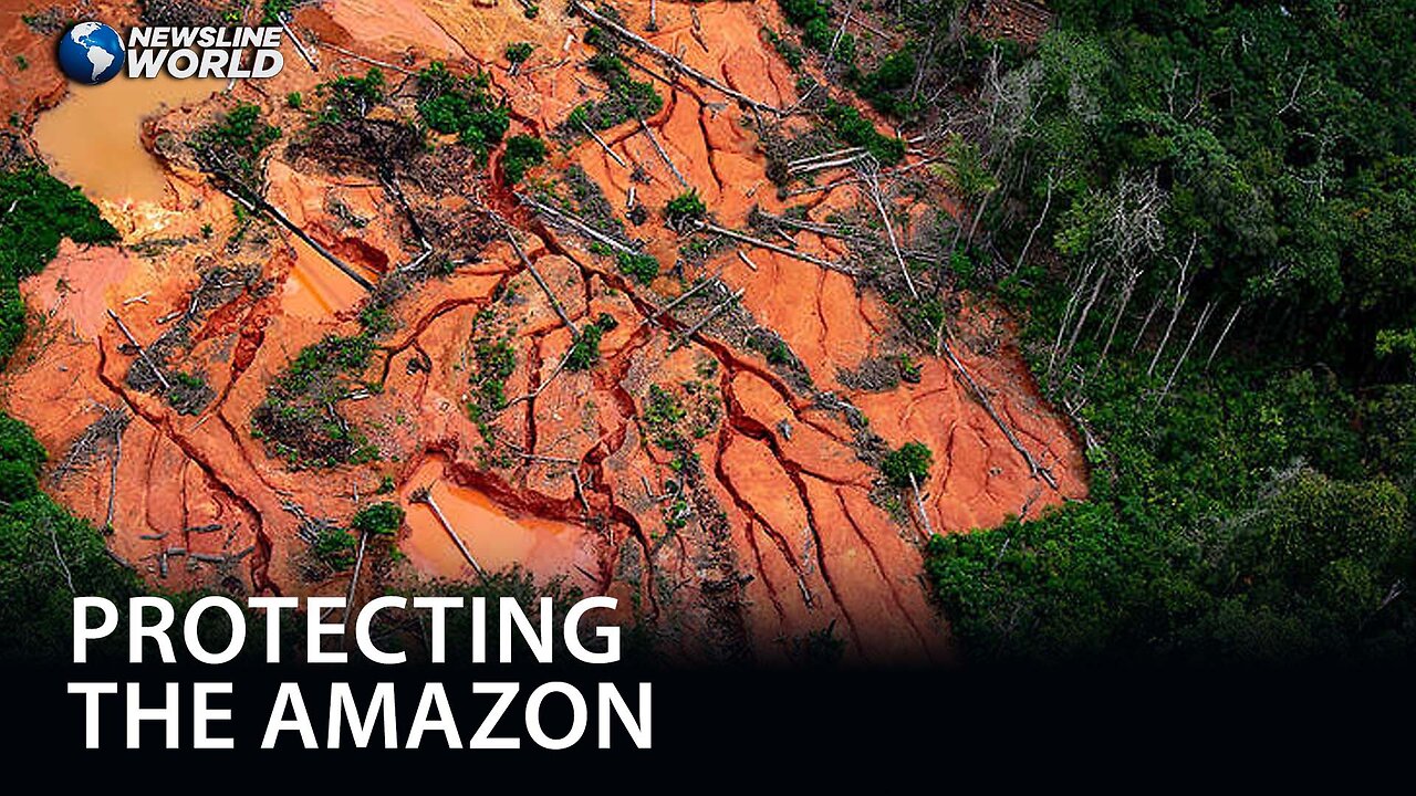 Brazil and Colombia join forces to dismantle illegal gold mines in the Amazon rainforest