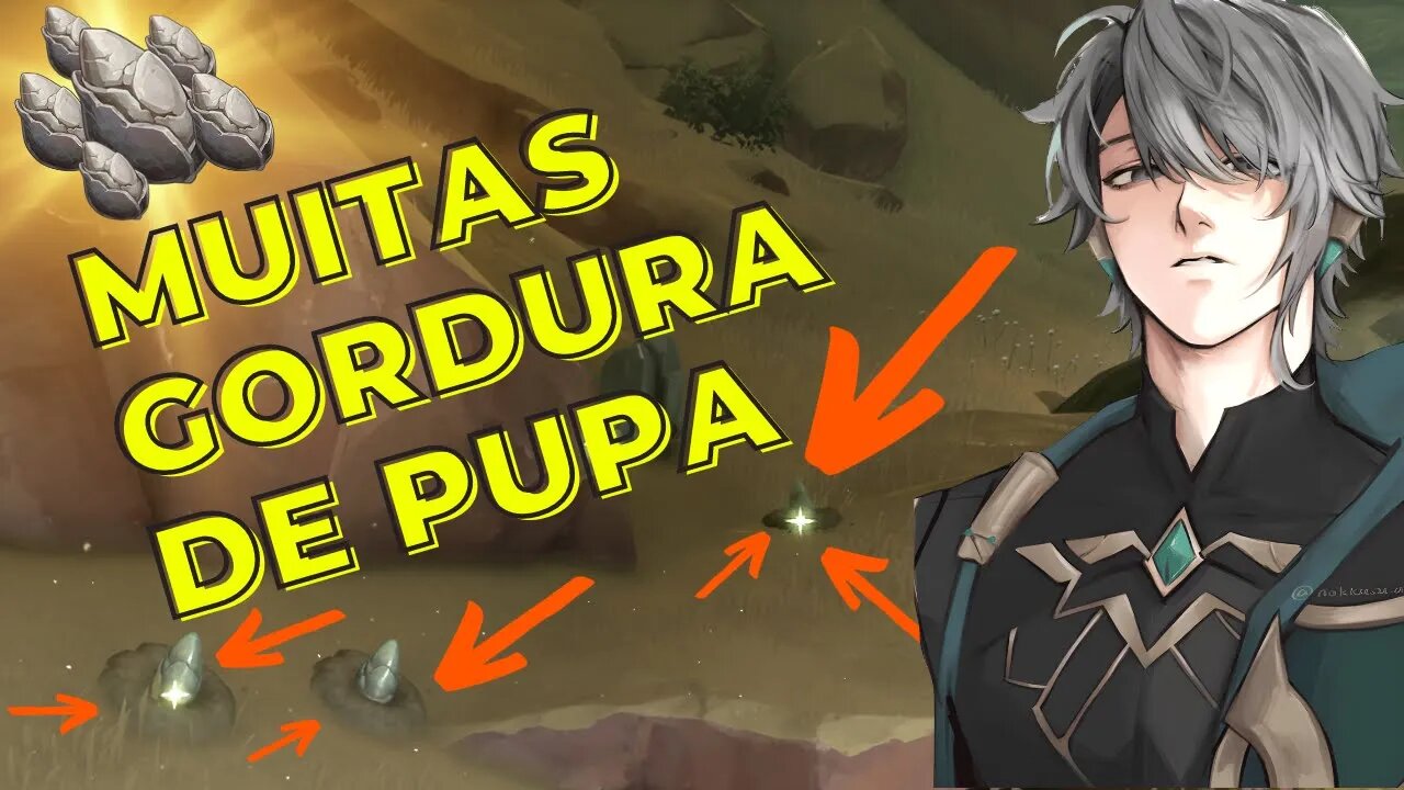 Rota COMPLETA de Gordura de Pupa de Areia | Sumeru - Genshin Impact