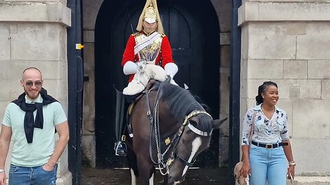 Horse gives several tourist's a nip #horseguardsparade