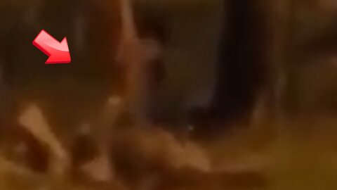 A shadowy figure sitting on a rock in the square [ghost]