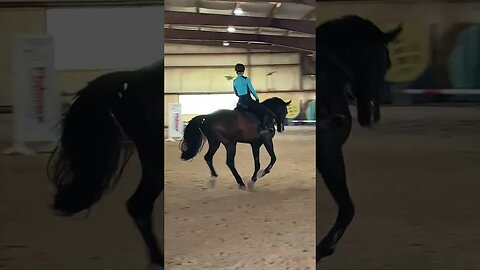 Erika and Apollo showing how it’s done