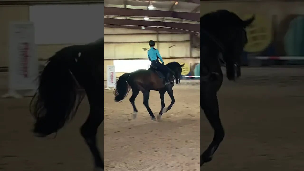 Erika and Apollo showing how it’s done