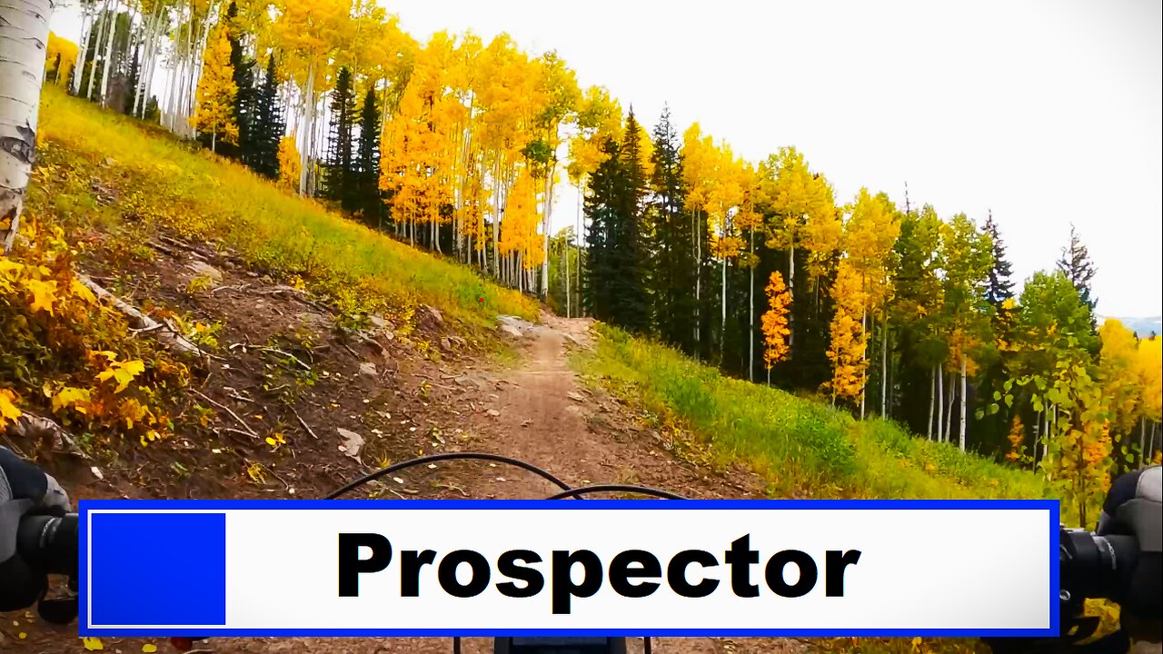 Prospector - Powderhorn