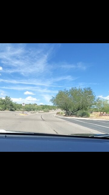 We Are Not Going to Stop Driving