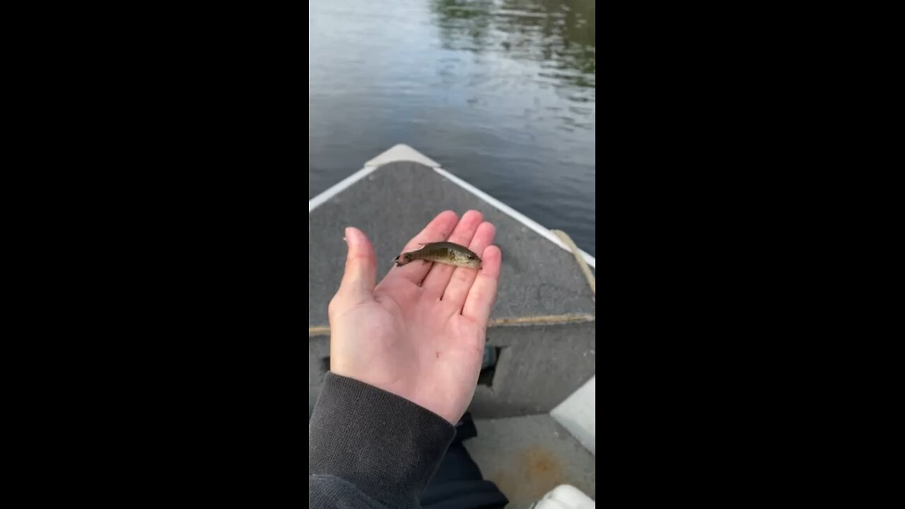 Worlds Smallest Smallmouth Bass