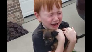 Boy cries as he's gifted a puppy