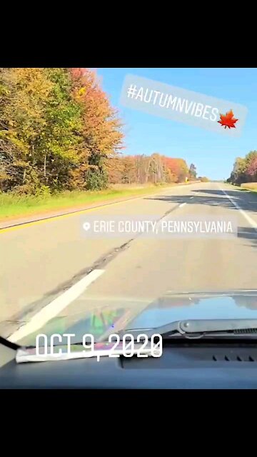 Erie Autumn Vibes