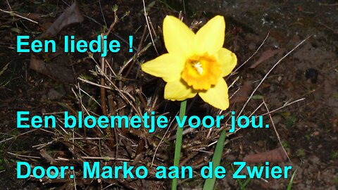 Liedje - Een bloemetje voor jou - #bloemtje #Lied