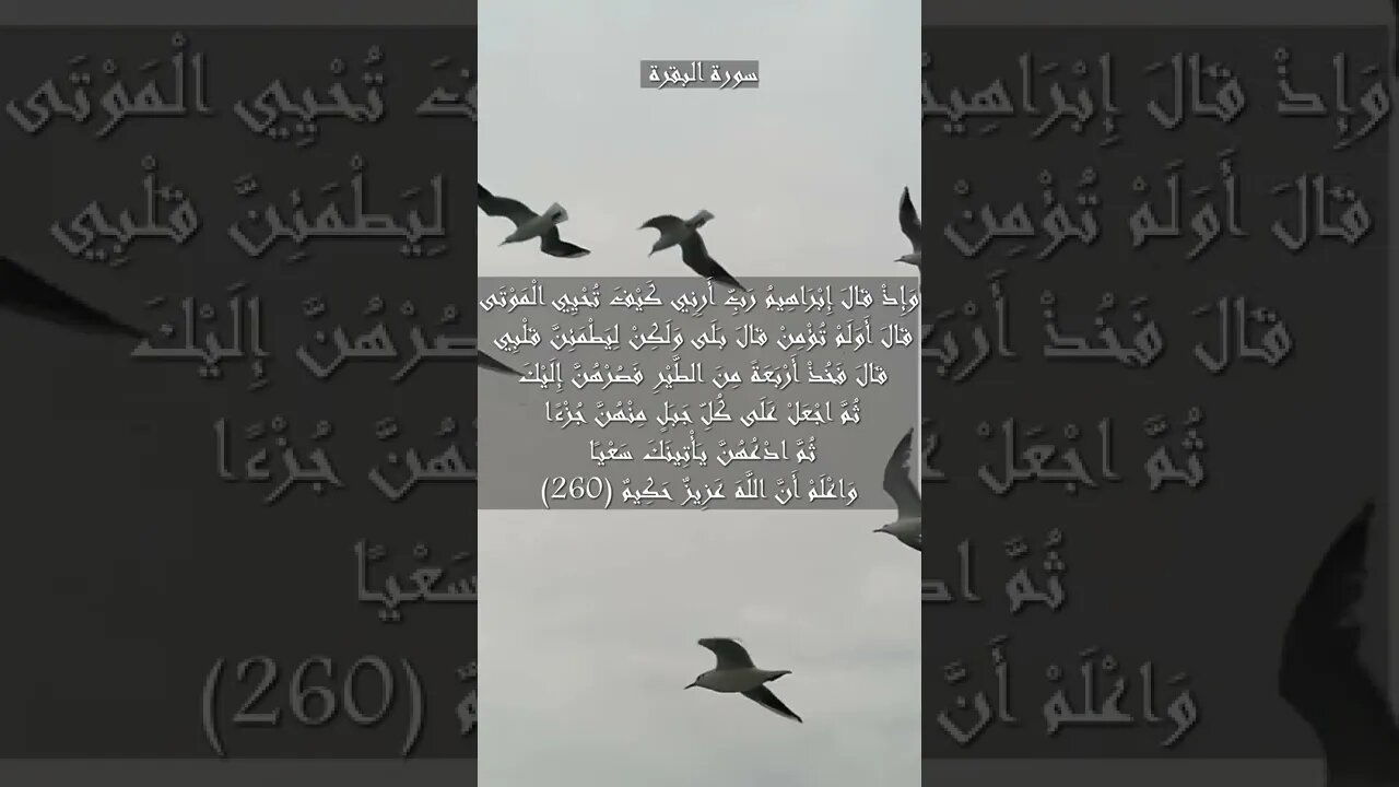 سورة البقرة الآية 260