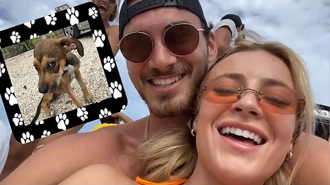 Tulum Vlog! ** we rescued a puppy