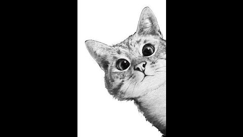 Mine cat