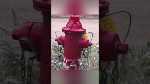 Literally Just a Fire Hydrant