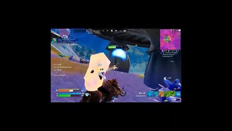Fortnite BEST W Ever