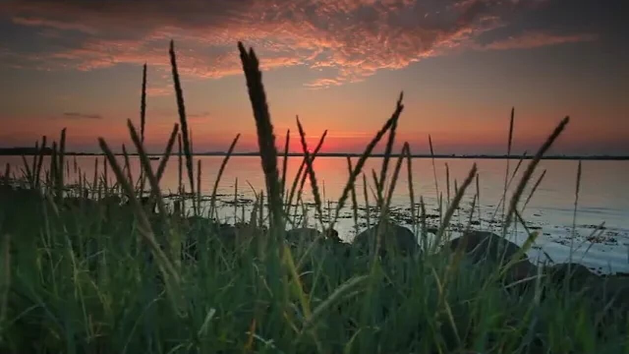 Serene Lakeside: Soothing Howling Wind for Calm and Meditation