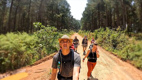 Hiking In Rainforest | For My Fans