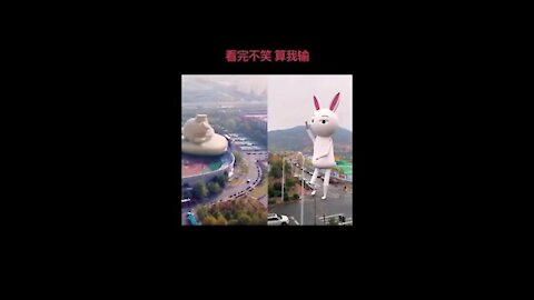 Tiktok with green rabbit | cute bunny rabbit...