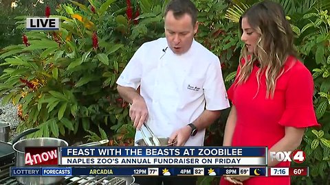 Feast with the beasts at Naples Zoo's annual fundraiser, Zoobilee