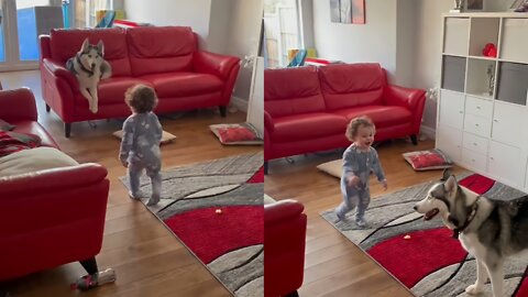 Try Not To Laugh Too Hard When You See This Toddler's Reaction After Kissing His Dog
