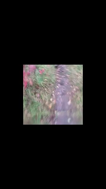 We are so disconnected from what his happening half a world away