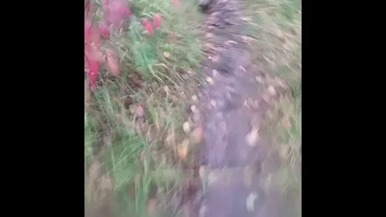 We are so disconnected from what his happening half a world away