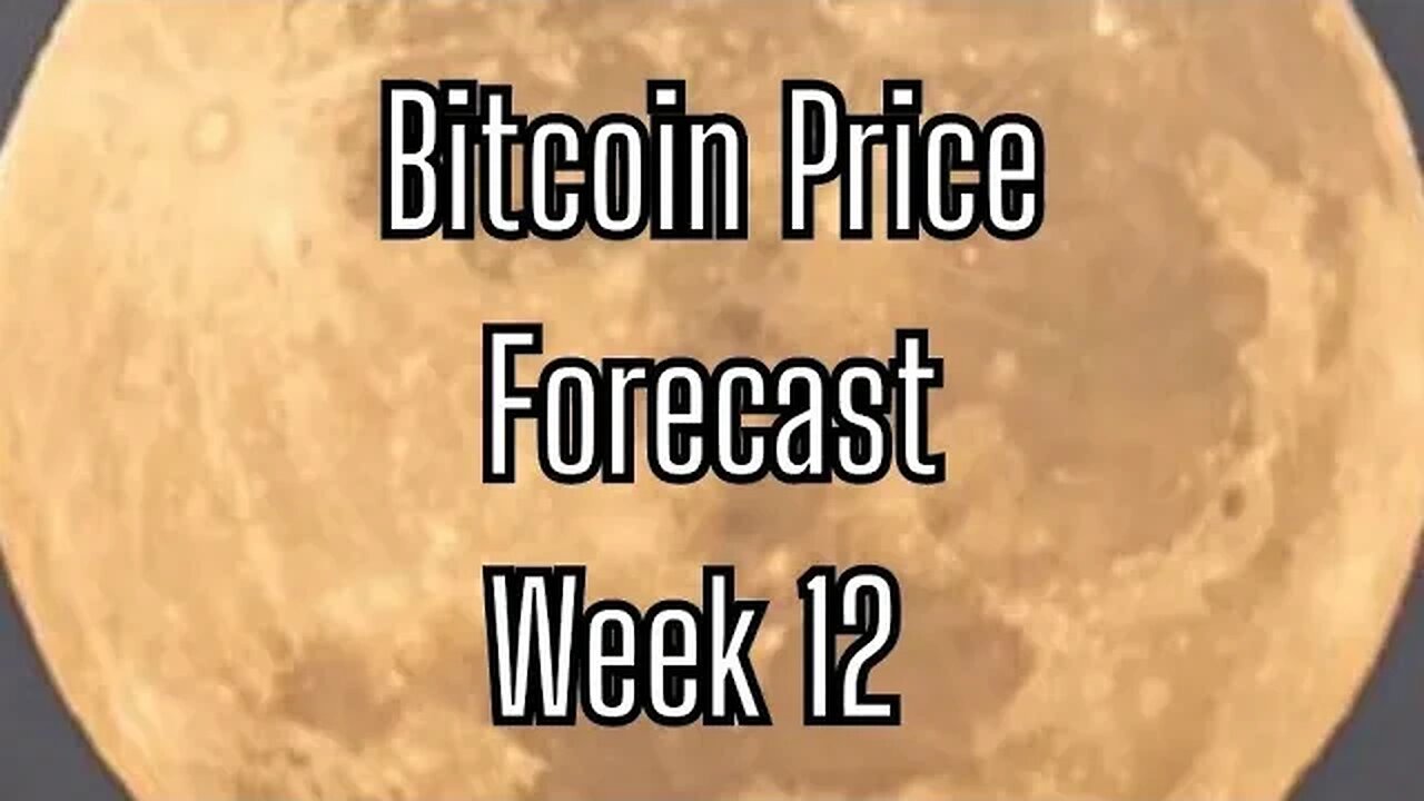 Week 12 Bitcoin Price Forecast