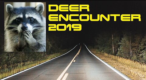 Expensive Deer Encounter