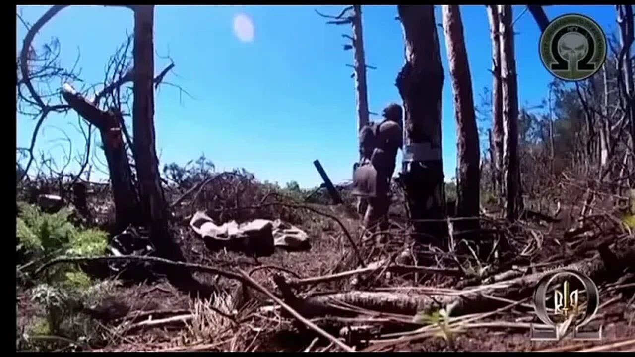 Ukrainian drones and artillery at work