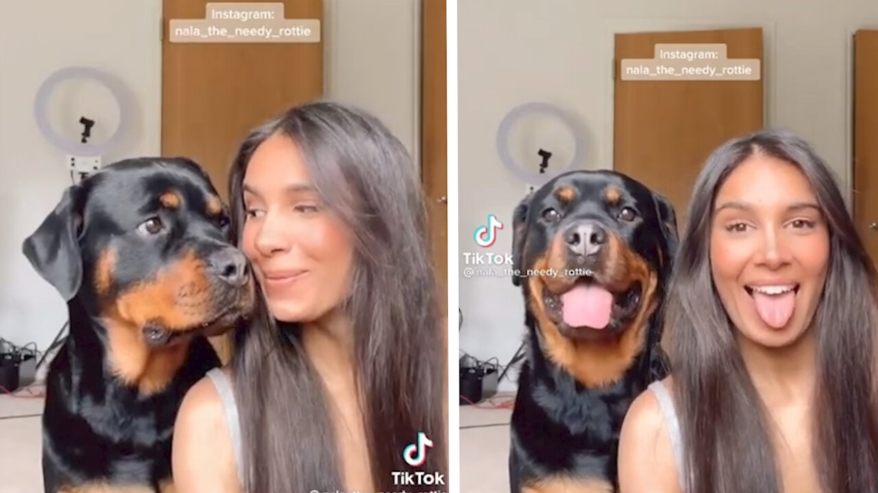dog get confused when her owner started to like like a dog